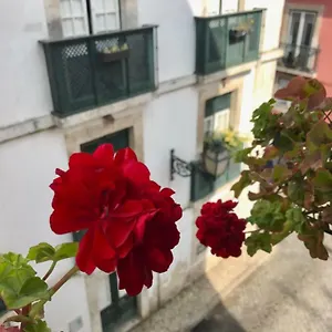 In The Heart Of Lisbon